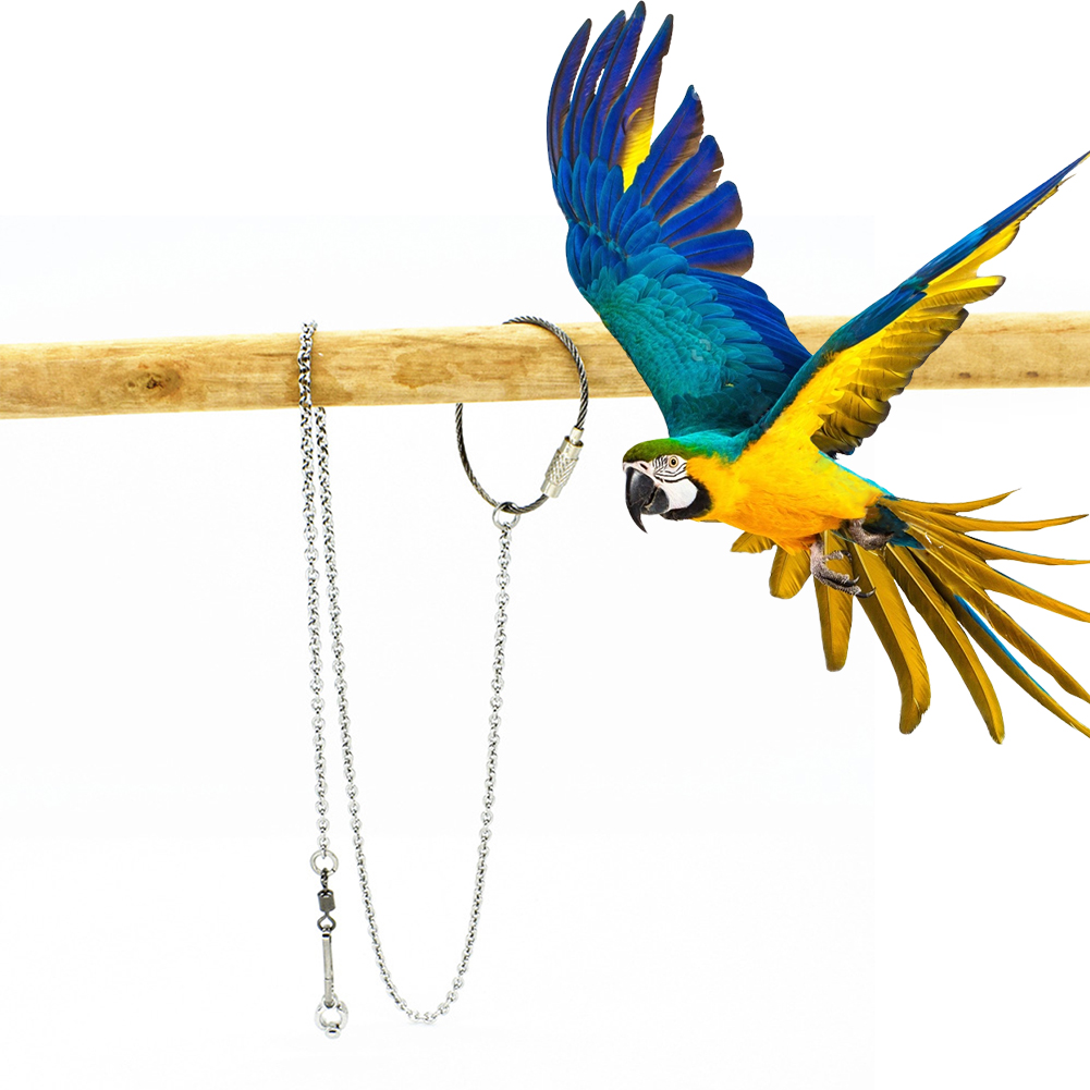 Pet Supplies Ringwood - 1Pcs Pet Parrot Leg Ring Ankle