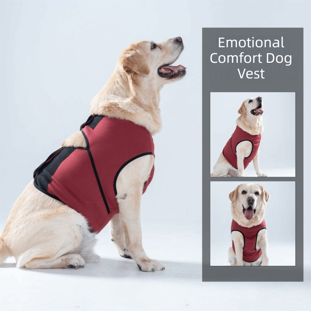 Practical Breathable Dog Calmi - Dog Anxiety Vest recension och pris