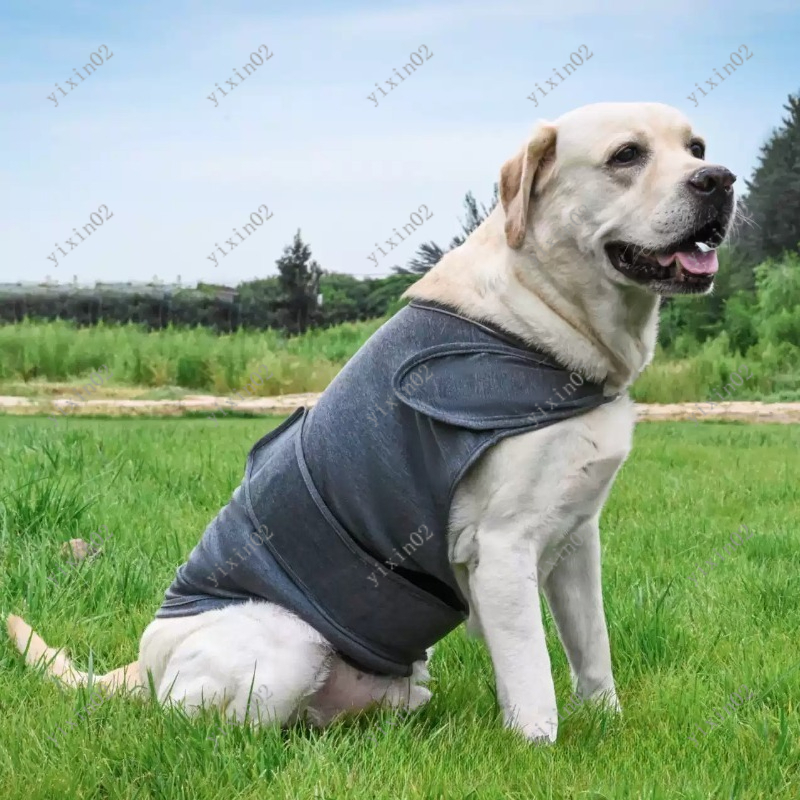 Classic Breathable Dog Anxiety - Dog Anxiety Vest recension och pris
