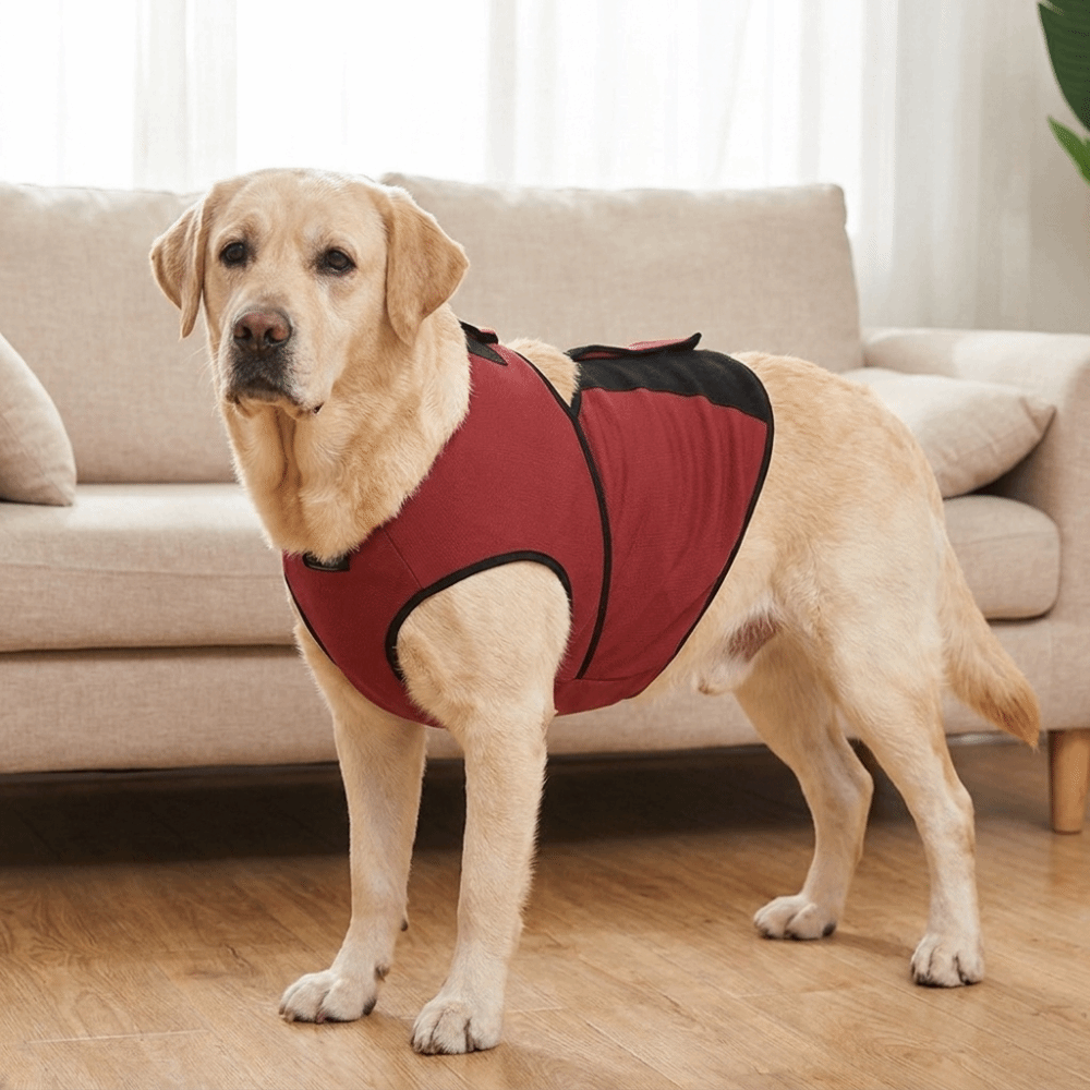 Practical Breathable Dog Calmi - Dog Anxiety Vest recension och pris