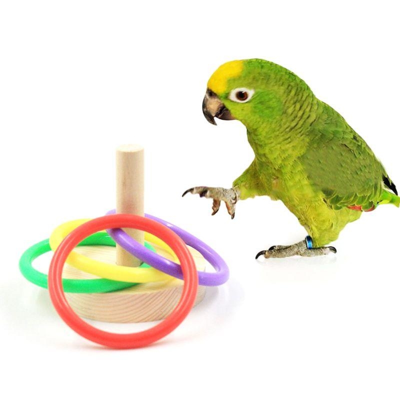Bird Parrot Wooden Platform Pl - Pet Supplies Ringwood recension och pris