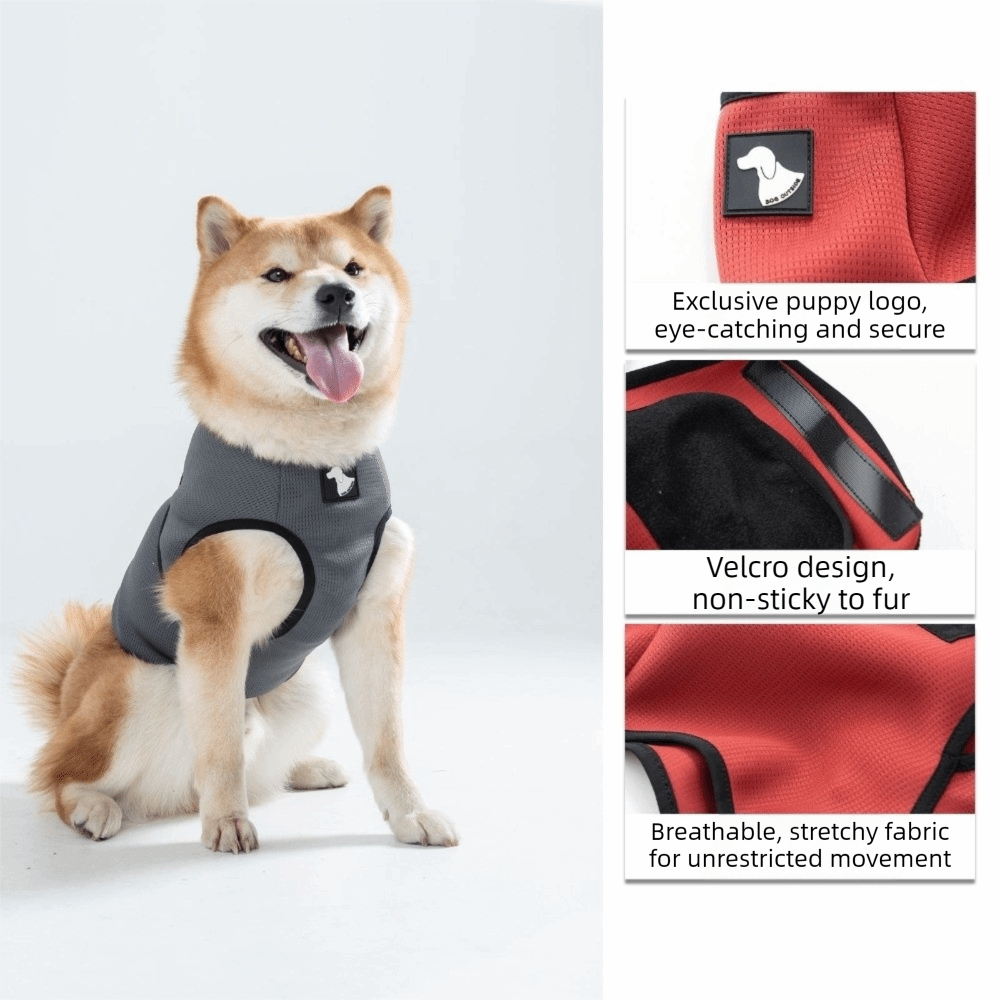 Pet Comfort Clothes Breathable - Dog Anxiety Vest recension och pris