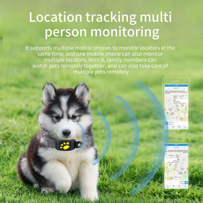 GPS Pet Tracker Beidou Positio - Pet Supplies Locations recension och pris