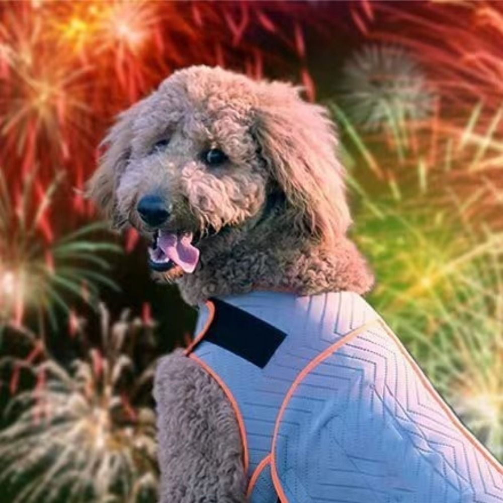 Dogs Coat Elastic Dog Anxiety  - Dog Anxiety Vest recension och pris