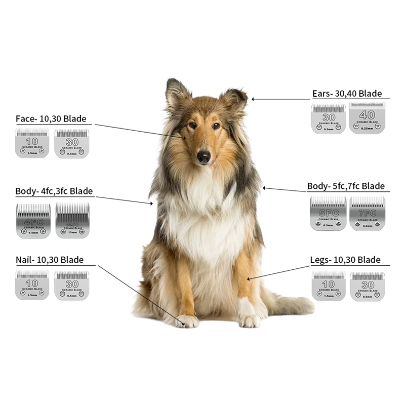 Professional Detachable Pet Do - Dog Grooming Clippers recension och pris