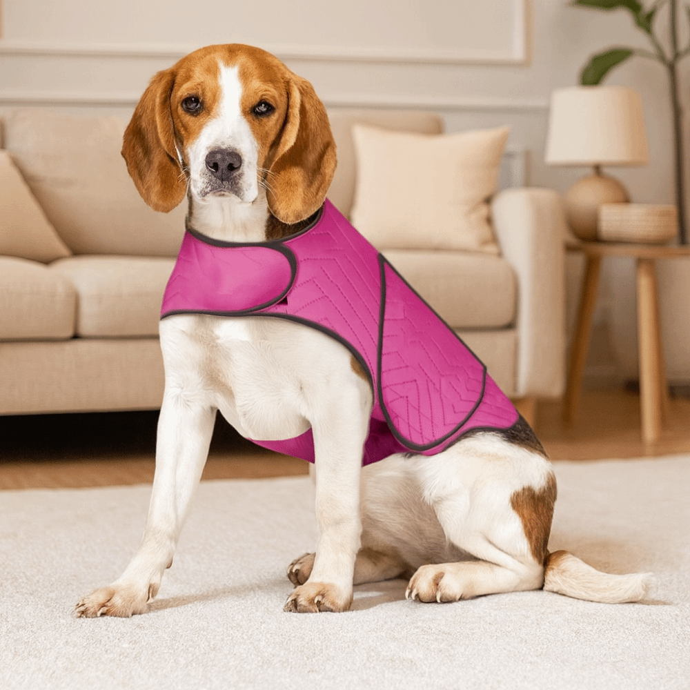 Practical Elastic Dog Anxiety  - Dog Anxiety Vest recension och pris