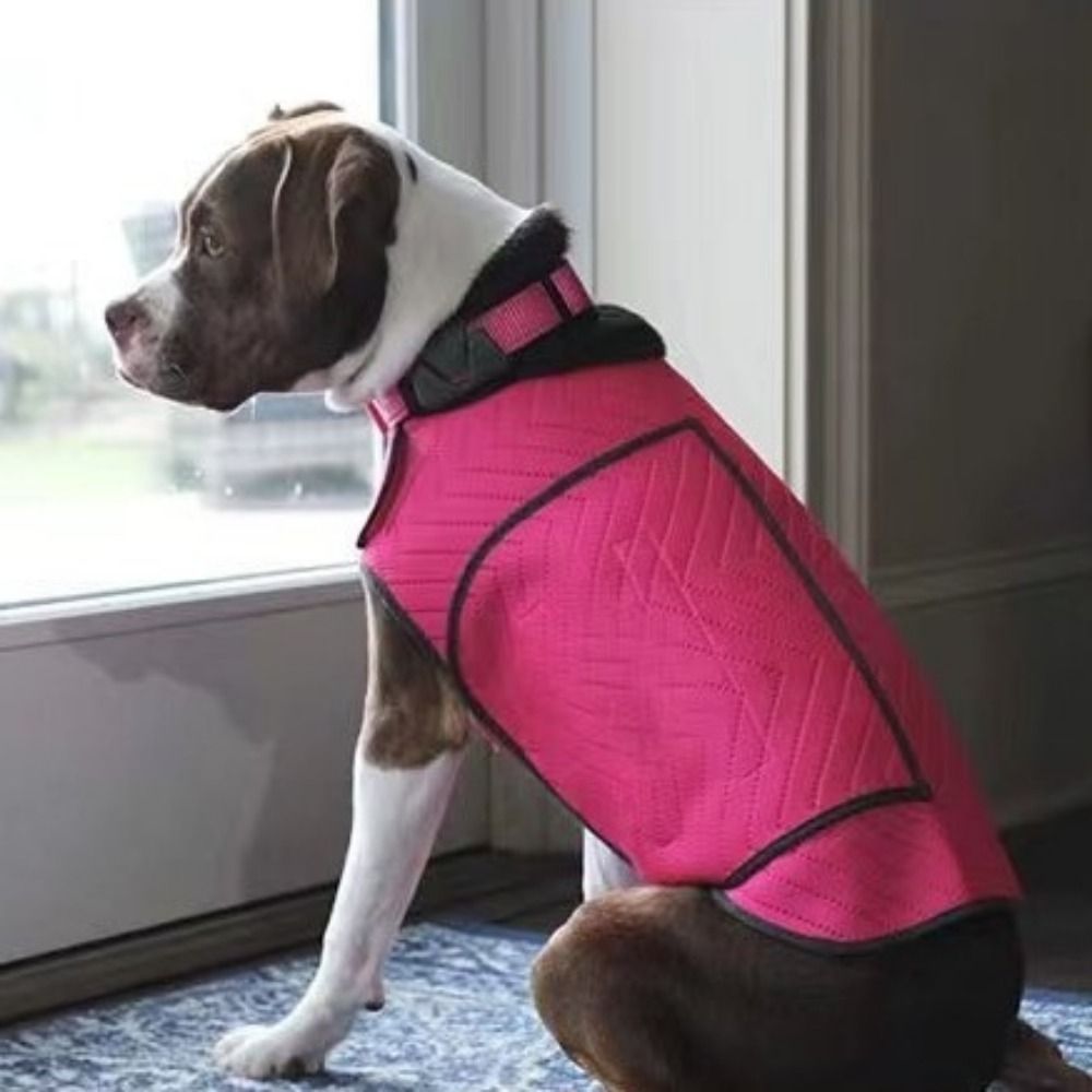Practical Elastic Dog Anxiety  - Dog Anxiety Vest recension och pris