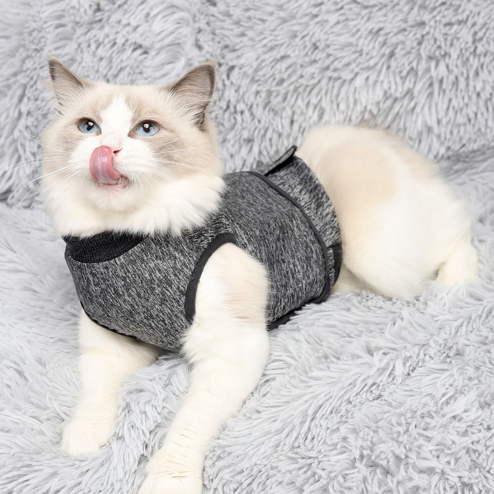 Adjustable Cat Calming Vest El - Dog Anxiety Vest recension och pris