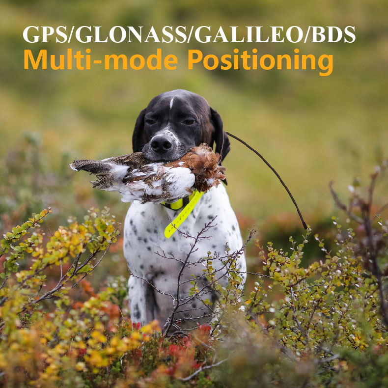 Global GPS Pet Tracker Real Ti - Pet Supplies Locations recension och pris