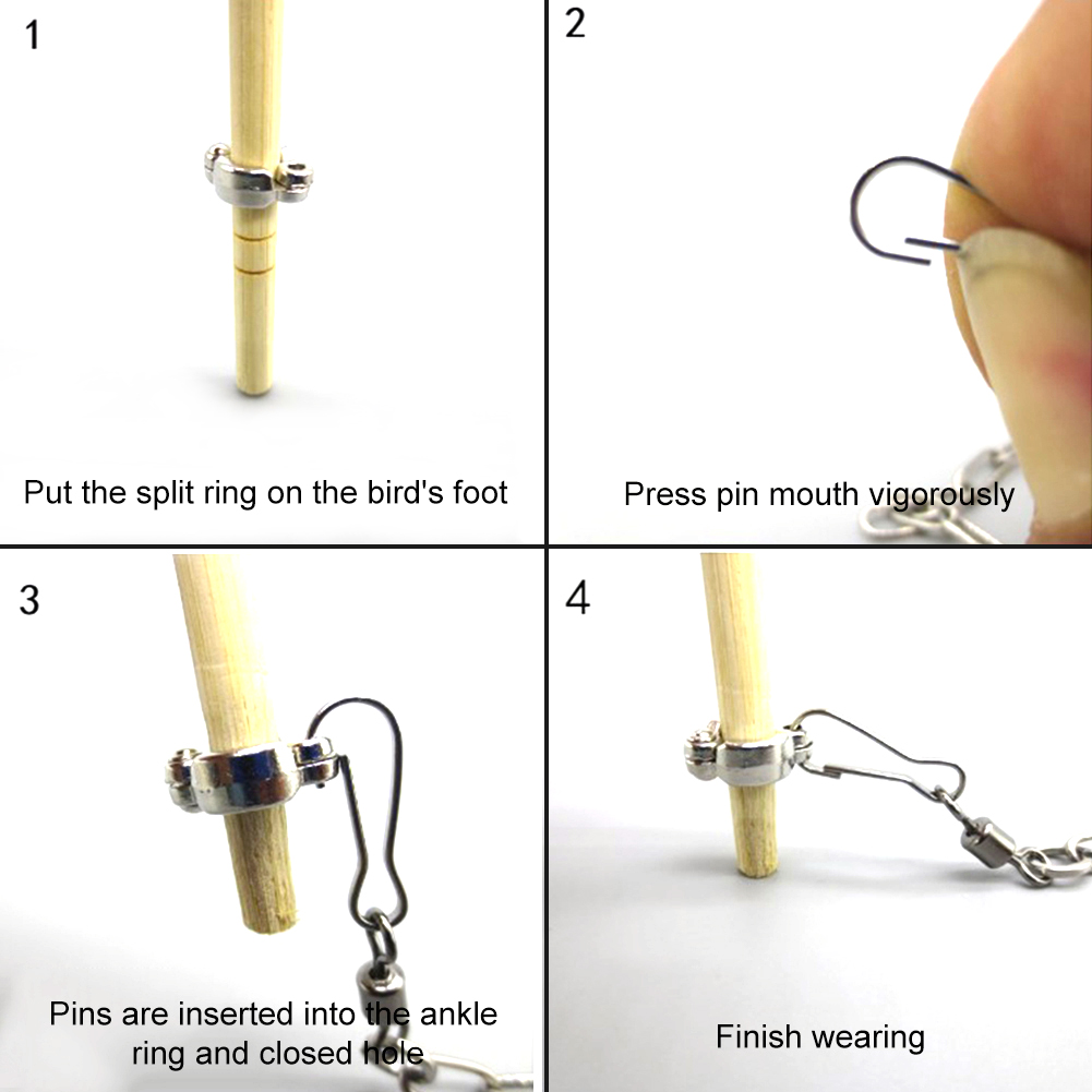1Pcs Pet Parrot Leg Ring Ankle - Pet Supplies Ringwood recension och pris